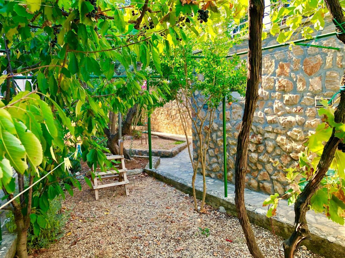 Villa Dinastija Kali Extérieur photo